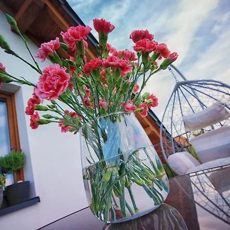 Lawendowy Przeciszow *