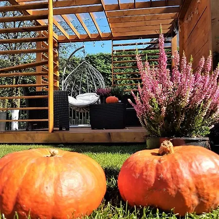 Lawendowy Przeciszow