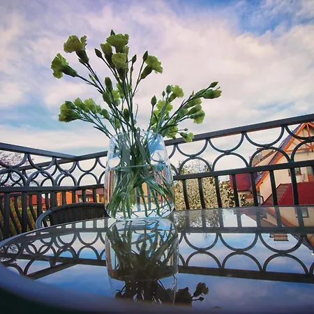 Lawendowy Przeciszow Zator