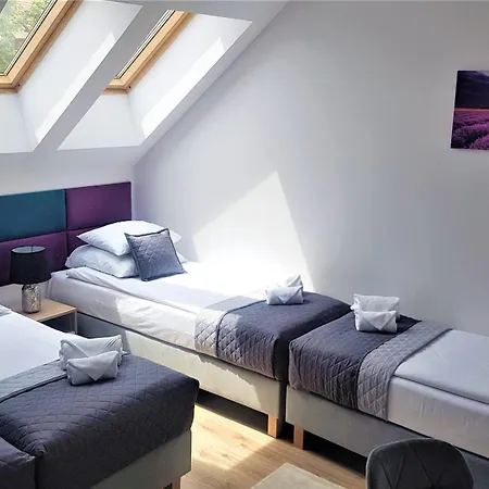 Lawendowy Przeciszow