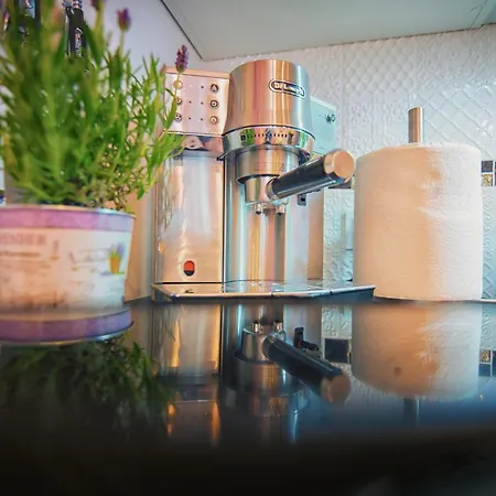 Lawendowy Przeciszow Lejlighed Zator