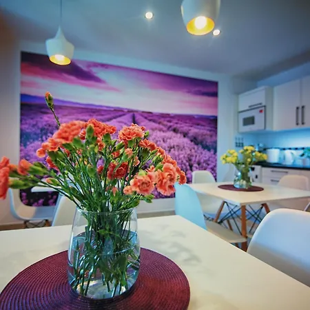 Lawendowy Przeciszow *