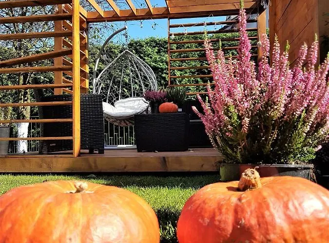 Lawendowy Przeciszow